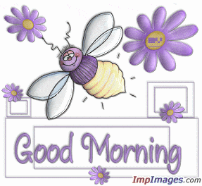 Good Morning - Bee Graphic-GD101