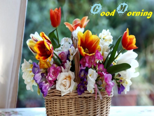 Good Morning - Bouquet-wg3609