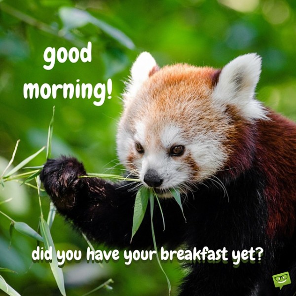 Good Morning - Did You Have Your Breakfast Yet-wg017023