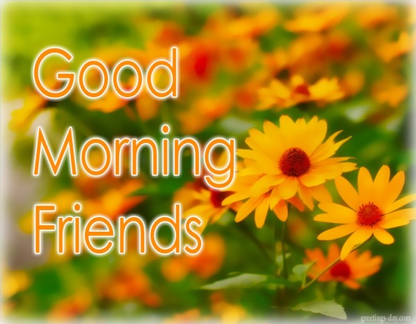 Good Morning Friends - God Bless-wg01722