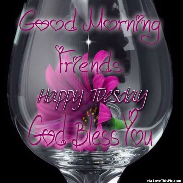Good Morning Friends Happy Tuesday !-wg015034