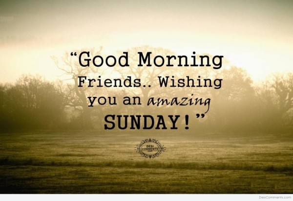 Good Morning Friends Wishing U Amazing Sunday-wg0704