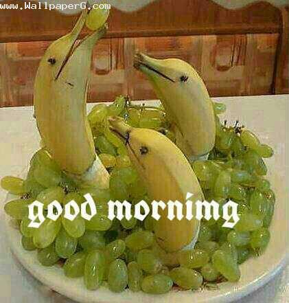 Good Morning-Fruits Image-wg3712