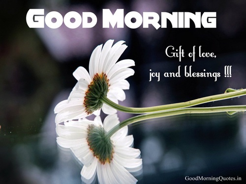 Good Morning Gift Of Love