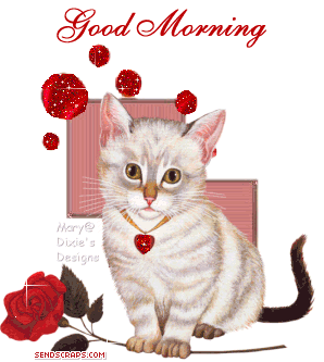 Good Morning - Glittering Cat-wg0192