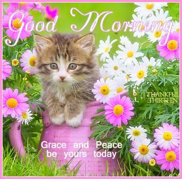 Good Morning - Grace And Peace -wj25