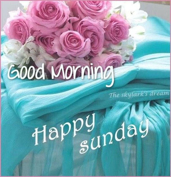 Good Morning Happy Sunday !!-wg0705