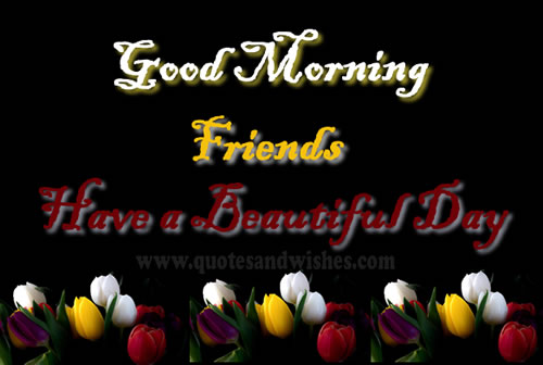 good morning friends have a nice day