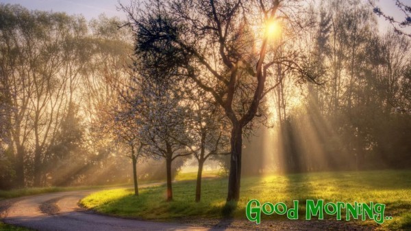 Good Morning Have A Bright Morning-wg017063