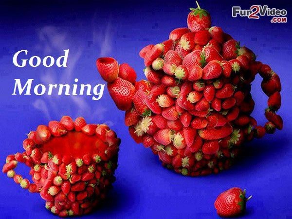 Good Morning Have A Fruitful Day-wg3704