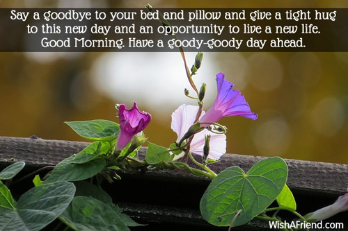 Good Morning Have A Goody Goody Day-wb0624