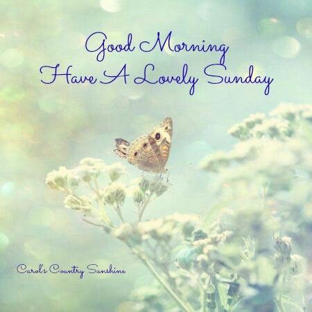 Good Morning Have A Lovely Sunday-wg0709