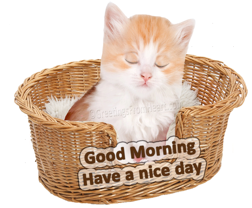 Good Morning Have A Nice Day - Animation-wg0194