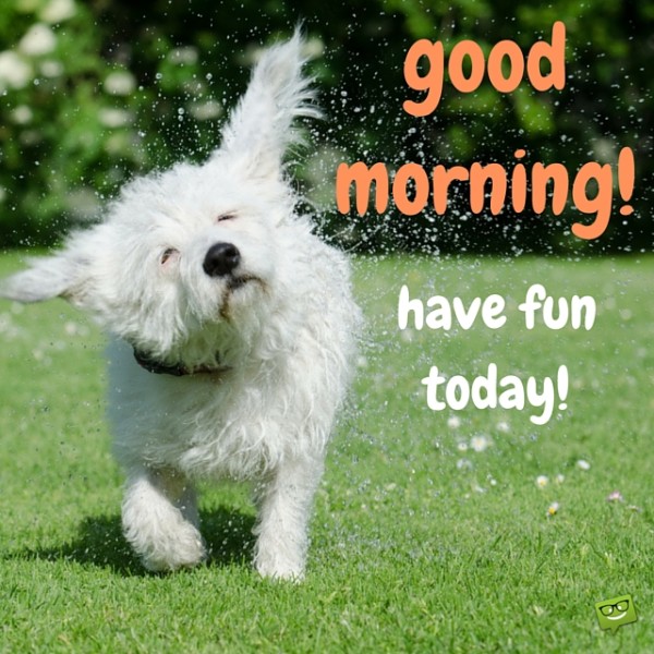 Good Morning Have Fun Today !-wg017077