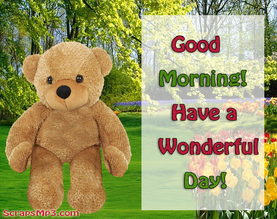 Good Morning Have a Wonderful day-wg01730