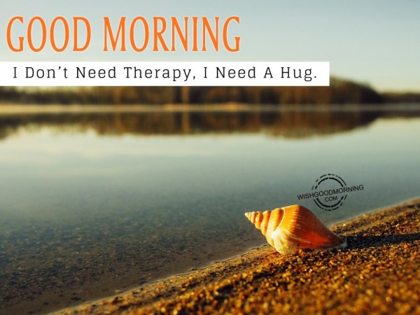 Good Morning I Do Not Need A Hug-wb5505