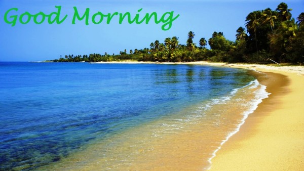 Good Morning-Island image-wb0410