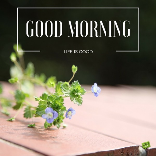 Good Morning Life Is Good-wg017079