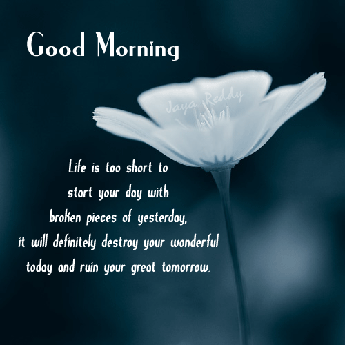 Good Morning-Life Is Too Short-wb78044