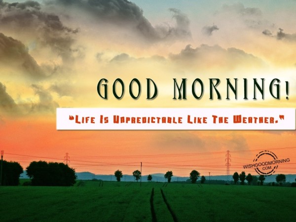Good Morning-Life Is Unpredictable-wb78045
