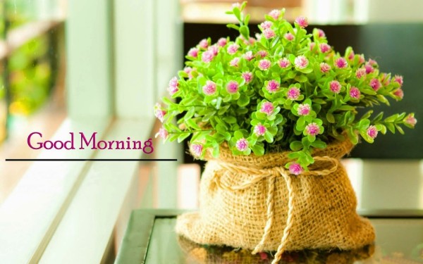 Good Morning - Lovely Bouquet-wg3610