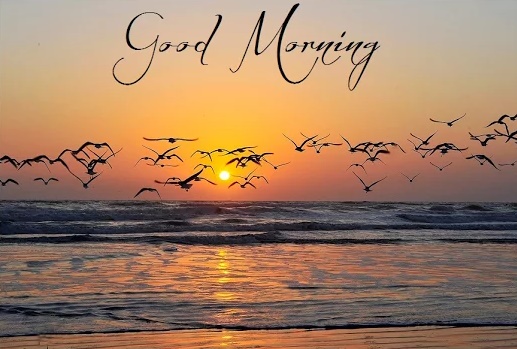 Good Morning - Lovely Sea Image-wg6307