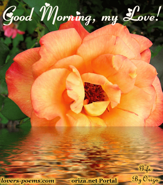 Good Morning My Love-Animinated Image-wm1021