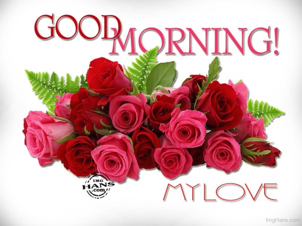 Good Morning My Love With Red Roses-wg017086