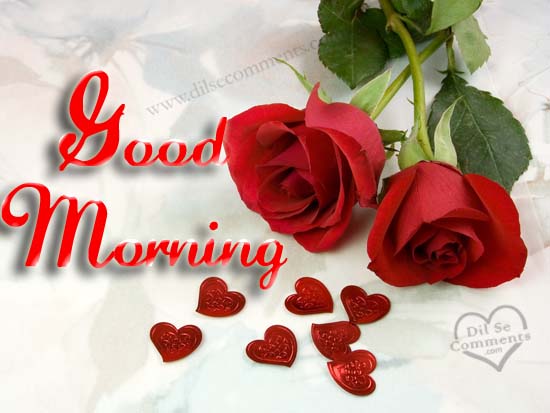 Good Morning My Love With Red Roses-wm1034