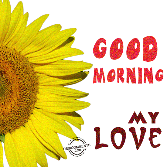 Good Morning My Love !!-wb612