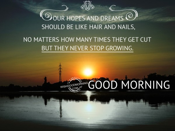 Good Morning-Never Stop Growing-wb78051