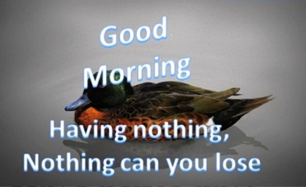 Good Morning - Nothing Can Lose-wg01312