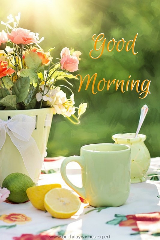 Good Morning Picture - Good Morning Wishes & Images