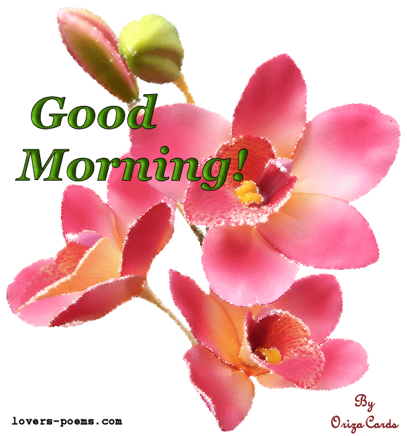Good Morning - Pink Orchids Glitter-wg03302