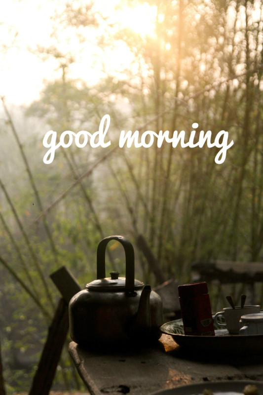 Good Morning - Pot-wg01515