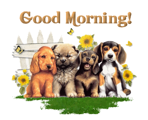 Good Morning-Puppies-wm1725