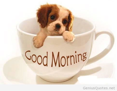 Good Morning - Puppy Image-wm1702