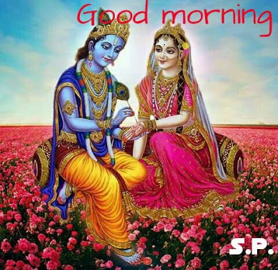 Good Morning-Radhe Krishna-wm6410