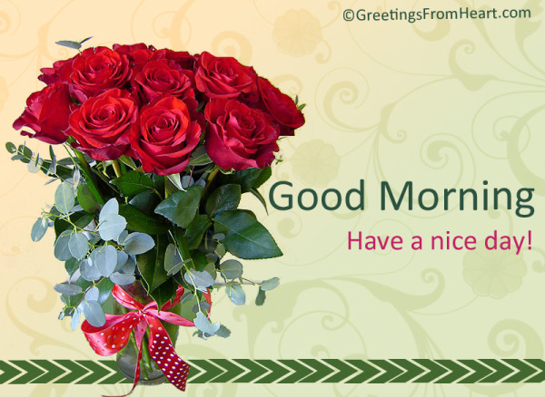Good Morning - Roses !-wg017040