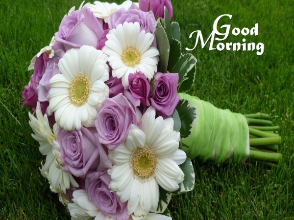 Good Morning Sending U Flower !-wg3605