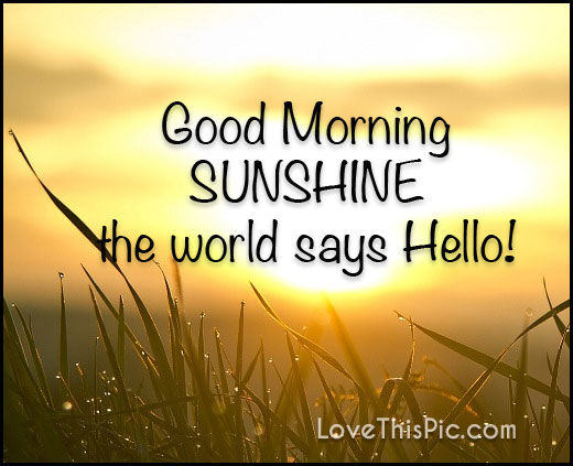 Good Morning Sunshine The World Says Hello-dk96
