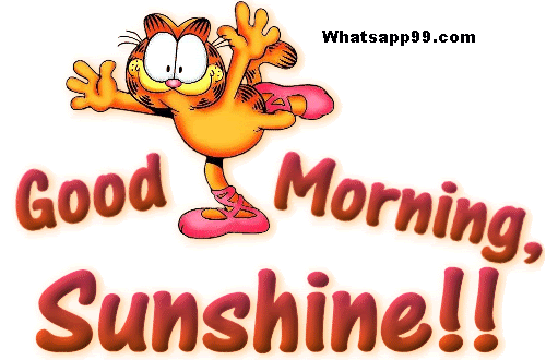 Good Morning Sunshine -wg024