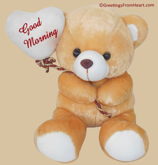 Good Morning - Teddy-wg017043