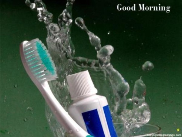 Good Morning-Time To Brush-wg03412