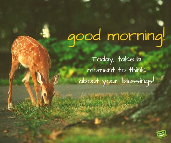 Good Morning - Today Take A Moment To Think-wg01007