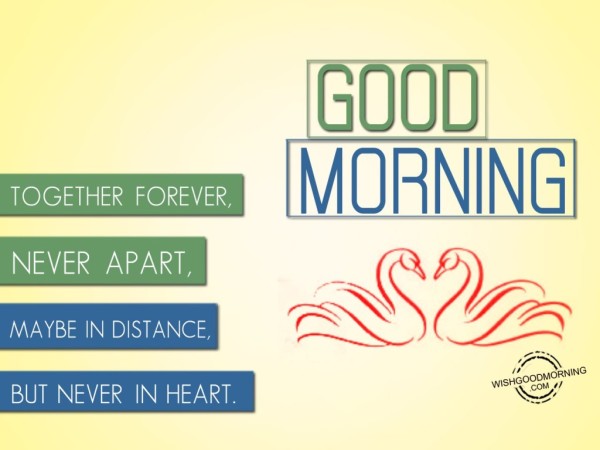 Good Morning-Together Forever !-wb5517