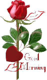 Good Morning Wishes With Rose-GD110