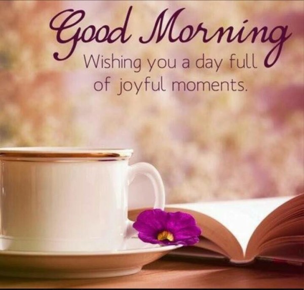 Good Morning Wishing You A Day Fuill Of Joy-wm1950