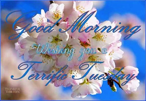Good Morning Wishing You A Terrific Tuesday-wg01338