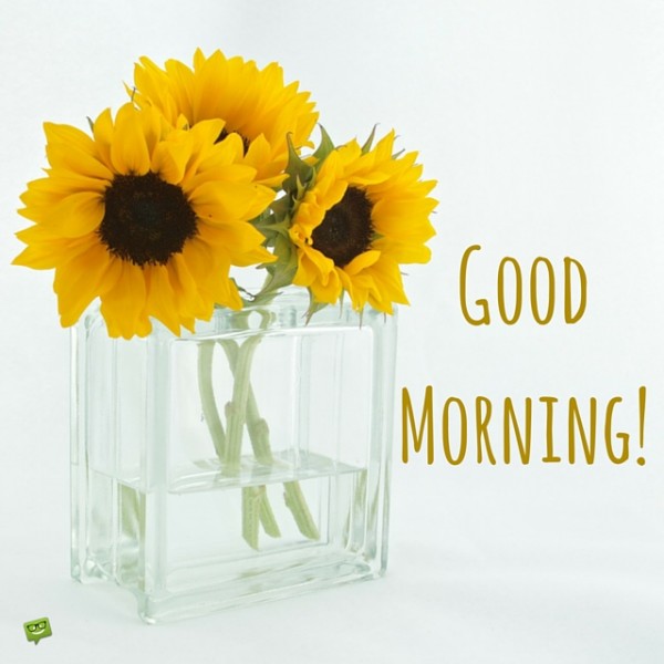 Good Morning Wishing You The Best-wg0907